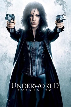 Underworld Awakening (2012) Full Movie Dual Audio [Hindi-English] BluRay ESubs 1080p 720p 480p Download