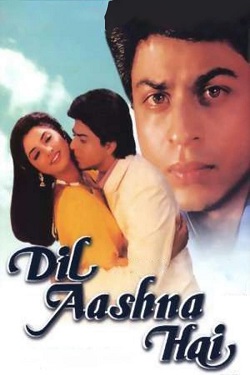 Dil Aashna Hai (1992) Hindi Full Movie BluRay ESubs 1080p 720p 480p Download